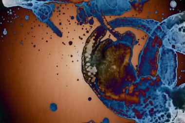 Soyut sanat. Renkli doku ve arka plan. Mürekkep alkolü. Yeni ortam