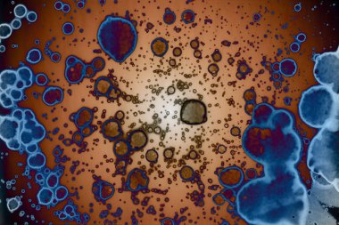 Soyut sanat. Renkli doku ve arka plan. Mürekkep alkolü. Yeni ortam