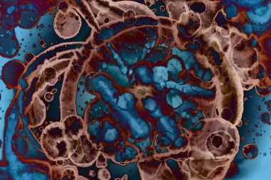 Soyut sanat. Renkli doku ve arka plan. Mürekkep alkolü. Yeni ortam