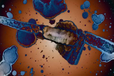 Soyut sanat. Renkli doku ve arka plan. Mürekkep alkolü. Yeni ortam