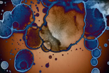 Soyut sanat. Renkli doku ve arka plan. Mürekkep alkolü. Yeni ortam