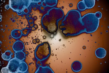 Soyut sanat. Renkli doku ve arka plan. Mürekkep alkolü. Yeni ortam