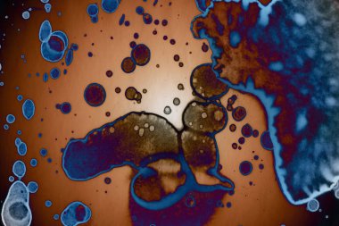 Soyut sanat. Renkli doku ve arka plan. Mürekkep alkolü. Yeni ortam