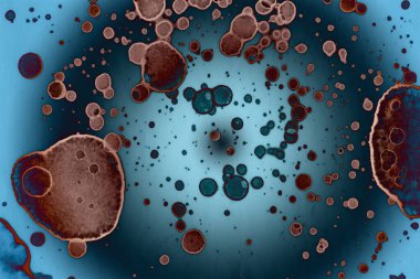 Soyut sanat. Renkli doku ve arka plan. Mürekkep alkolü. Yeni ortam