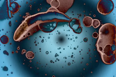 Soyut sanat. Renkli doku ve arka plan. Mürekkep alkolü. Yeni ortam