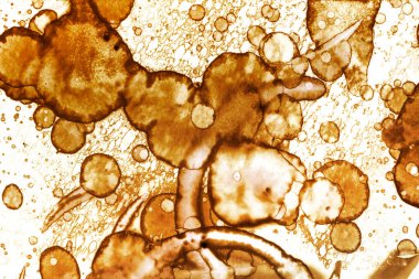 Kahve lekesi dokusu. Soyut noktalar. Psikolojik resimler. Soyut baloncuklar.