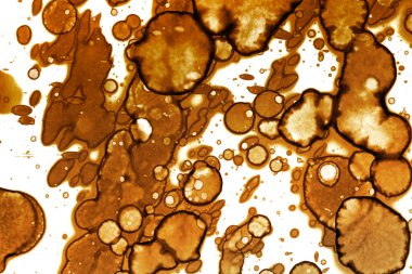 Kahve lekesi dokusu. Soyut noktalar. Psikolojik resimler. Soyut baloncuklar.