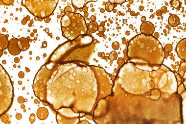 Kahve lekesi dokusu. Soyut noktalar. Psikolojik resimler. Soyut baloncuklar.