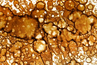 Kahve lekesi dokusu. Soyut noktalar. Psikolojik resimler. Soyut baloncuklar.