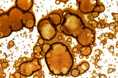 Kahve lekesi dokusu. Soyut noktalar. Psikolojik resimler. Soyut baloncuklar.