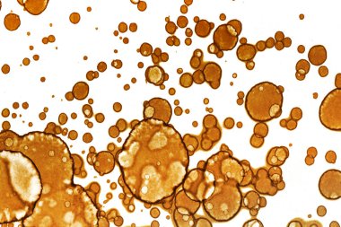 Kahve lekesi dokusu. Soyut noktalar. Psikolojik resimler. Soyut baloncuklar.