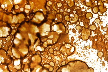 Kahve lekesi dokusu. Soyut noktalar. Psikolojik resimler. Soyut baloncuklar.