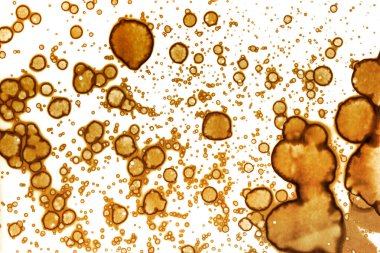 Kahve lekesi dokusu. Soyut noktalar. Psikolojik resimler. Soyut baloncuklar.