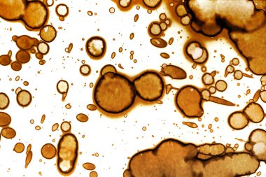 Kahve lekesi dokusu. Soyut noktalar. Psikolojik resimler. Soyut baloncuklar.