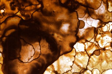 Kahve lekesi dokusu. Soyut noktalar. Psikolojik resimler. Soyut baloncuklar.