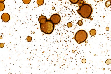 Kahve lekesi dokusu. Soyut noktalar. Psikolojik resimler. Soyut baloncuklar.