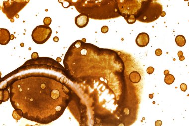 Kahve lekesi dokusu. Soyut noktalar. Psikolojik resimler. Soyut baloncuklar.