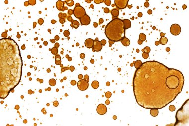 Kahve lekesi dokusu. Soyut noktalar. Psikolojik resimler. Soyut baloncuklar.