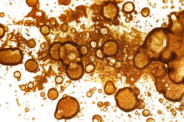 Kahve lekesi dokusu. Soyut noktalar. Psikolojik resimler. Soyut baloncuklar.