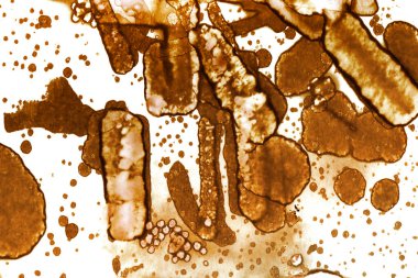 Kahve lekesi dokusu. Soyut noktalar. Psikolojik resimler. Soyut baloncuklar.