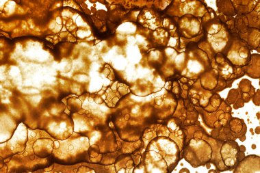 Kahve lekesi dokusu. Soyut noktalar. Psikolojik resimler. Soyut baloncuklar.