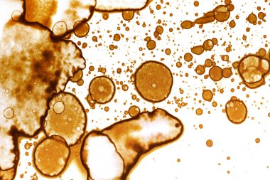 Kahve lekesi dokusu. Soyut noktalar. Psikolojik resimler. Soyut baloncuklar.