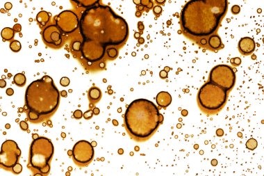 Kahve lekesi dokusu. Soyut noktalar. Psikolojik resimler. Soyut baloncuklar.