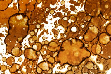 Kahve lekesi dokusu. Soyut noktalar. Psikolojik resimler. Soyut baloncuklar.