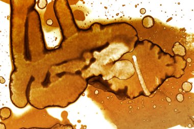 Kahve lekesi dokusu. Soyut noktalar. Psikolojik resimler. Soyut baloncuklar.