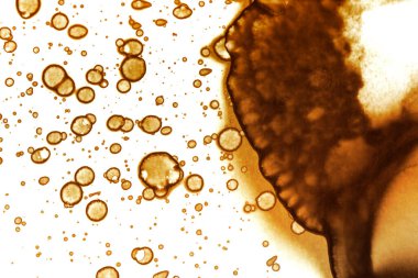 Kahve lekesi dokusu. Soyut noktalar. Psikolojik resimler. Soyut baloncuklar.