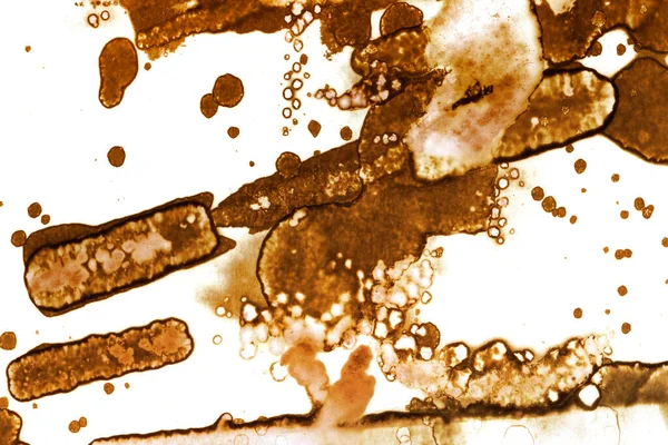 Coffee stain texture. Abstract spots. Psychological pictures. Abstract bubbles.