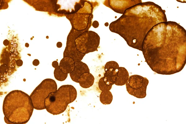 Coffee stain texture. Abstract spots. Psychological pictures. Abstract bubbles.