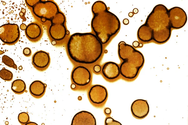 Coffee stain texture. Abstract spots. Psychological pictures. Abstract bubbles.