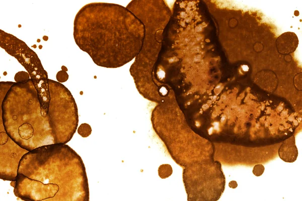 Coffee Stain Texture Abstract Spots Psychological Pictures Abstract Bubbles — Stock Photo, Image