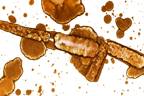 Coffee stain texture. Abstract spots. Psychological pictures. Abstract bubbles.