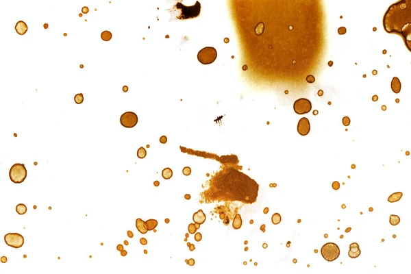 Coffee Stain Texture Abstract Spots Psychological Pictures Abstract Bubbles — Stock Photo, Image