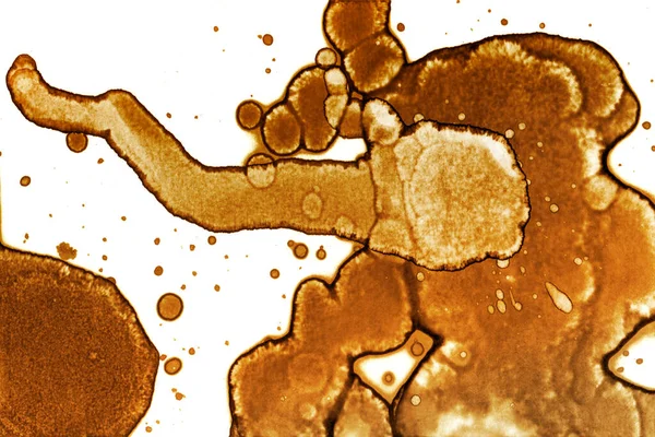 Coffee stain texture. Abstract spots. Psychological pictures. Abstract bubbles.