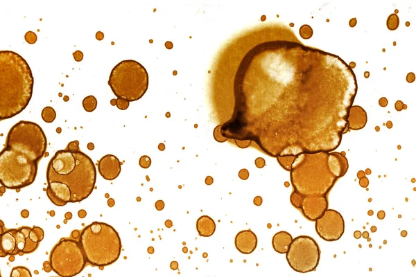 Kahve Lekesi Dokusu Soyut Noktalar Psikolojik Resimler Soyut Baloncuklar — Stok fotoğraf