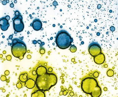 Mavi-sarı doku. Lekelerden soyutlama. Duman ve kabarcıklar. Moda arkaplanı.