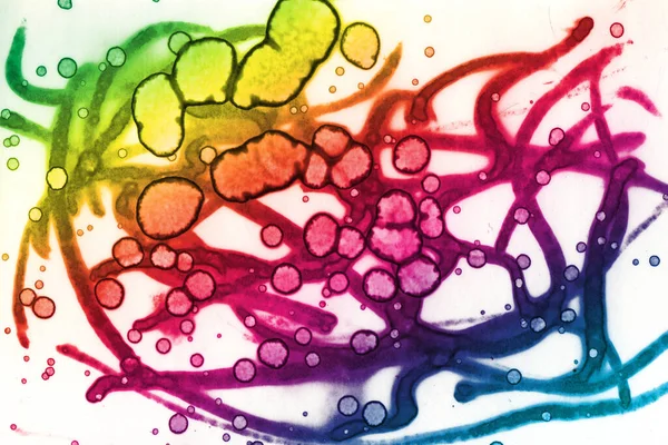 Abstract Colored Rainbow Background Watercolor Texture — Stock Photo, Image