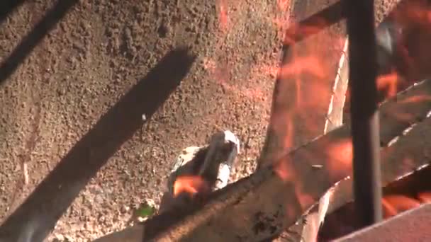 Ateş Odunları Yakıyor Ahşap Odun Yüksek Kaliteli Fullhd Görüntüler — Stok video
