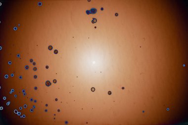 Soyut sanat alanı dokusu. Moda geçmişi. Gezegenler ve galaksiler