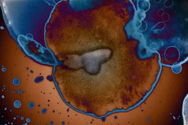 Soyut sanat alanı dokusu. Moda geçmişi. Gezegenler ve galaksiler