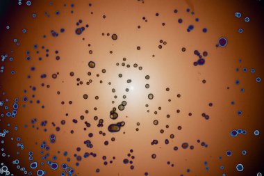 Soyut sanat alanı dokusu. Moda geçmişi. Gezegenler ve galaksiler