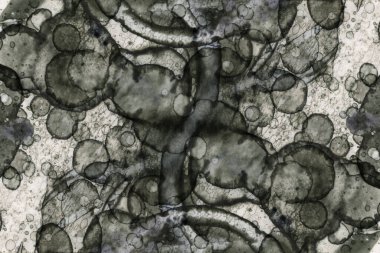 Soyut alkolik mürekkep dokusu. Lekelerden soyutlama. Duman ve kabarcıklar. Moda arkaplanı.