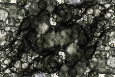 Soyut alkolik mürekkep dokusu. Lekelerden soyutlama. Duman ve kabarcıklar. Moda arkaplanı.