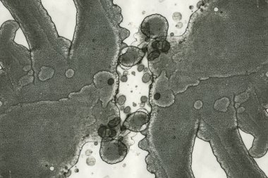 Soyut alkolik mürekkep dokusu. Lekelerden soyutlama. Duman ve kabarcıklar. Moda arkaplanı.