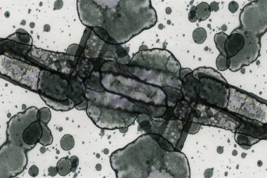 Soyut alkolik mürekkep dokusu. Lekelerden soyutlama. Duman ve kabarcıklar. Moda arkaplanı.