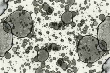 Soyut alkolik mürekkep dokusu. Lekelerden soyutlama. Duman ve kabarcıklar. Moda arkaplanı.