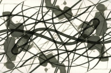 Soyut alkolik mürekkep dokusu. Lekelerden soyutlama. Duman ve kabarcıklar. Moda arkaplanı.